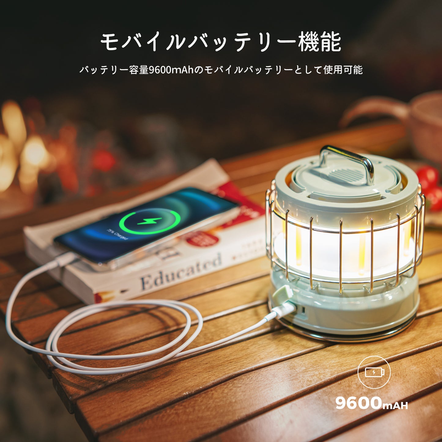 MAX LANTERN-3-in-1 ヴィンテージランタン 炎付き